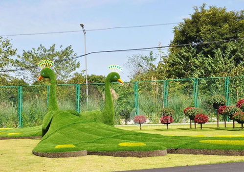 長頸鹿仿真綠雕造型現(xiàn)貨批發(fā)價 成都仿真綠雕專業(yè)定制廠家