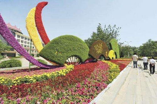 五色草鮮花真植物雕塑廠家定制價格 四川成都五色草雕塑廠家批發定制