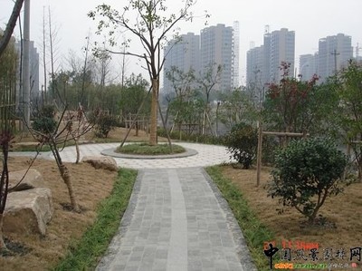 杭州鎮東河景觀工程