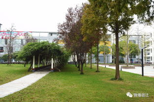 現在起,我大宿遷又要多一個新名字