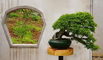 詩城人家 馬鞍山園林藝術(shù)的一顆璀璨明珠